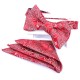 Краватка-метелик червона в узорах з платком 4545