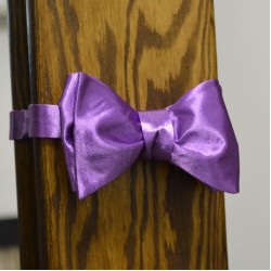 Насичена фіолетова краватка-метелик