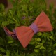 Галстук-бабочка льняная двухсторонняя (персиковый;фиолетовый)