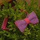 Галстук-бабочка льняная двухсторонняя (розовый;сиреневый)