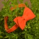 Галстук-бабочка льняная двухсторонняя (оранжевый;морковный)