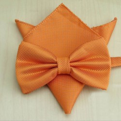 Бабочка оранжевая стильная с платком