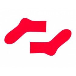 Шкарпетки теплі червоні Dellen від Sammy Icon