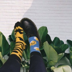 Шкарпетки тигрові Sammy Icon