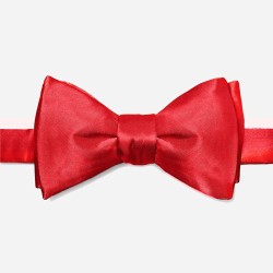 Красная шелковая галстук-бабочка