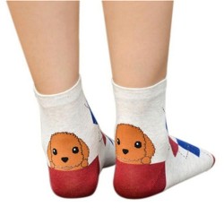Шкарпетки маленький Той-пудель 09118