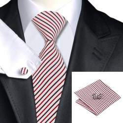 Подарочный галстук белый в красно-черную полоску