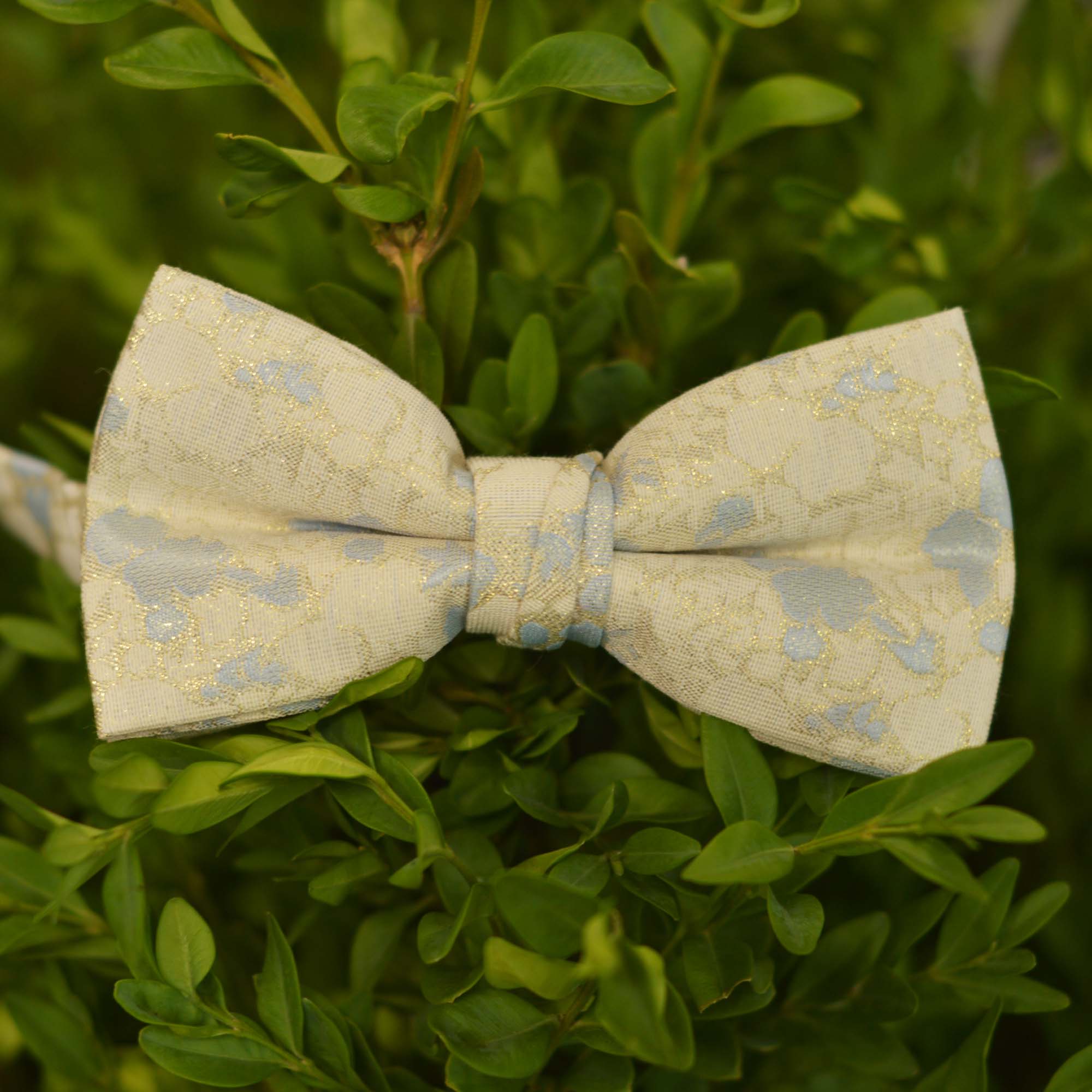 Бабочка бежевая с голубым Luxury